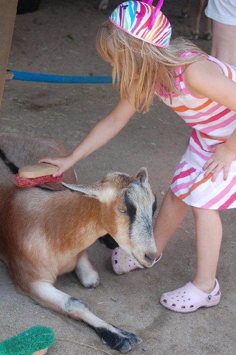 SUMMER (655)